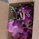 FagusHome 32 Inch Artificial Phalaenopsis Flowers 6 Pcs Artificial Orchid Flowers Stem Plants for Home Décor (Purple Piebald), FH1000143
