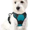 rabbitgoo Dog Harness No Pull with 2 Leash Clips, Adjustable Soft Padded, Reflective Oxford No Choke Pet Vest with Easy Control Handle for Puppy, Teal, XS (X-Small)
