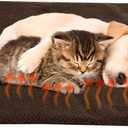 Self Warming Cat Mat - 36x24in Thermal Dog Crate Pad with Removable Washable Sherpa Cover and Reflective Insulation Layer for Self Heating - Pet Supplies for Medium Dogs and Cats by PETMAKER (Brown)