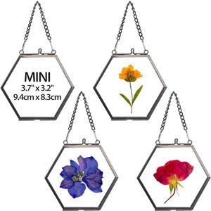 JuxYes Set of 4 Hexagon Mini Brass Wall Hanging Photo Frame, Golden Glass Hanging Picture Artwork Display Frame, Double Glass Floating Frame Style Gallery Wall Frame for Picture, Poster, etc (Black)