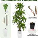 6FT Tall Artificial Dracaena Tree, Lifelike Faux Indoor Fake Floor Plant with White Pot, Faux Tree for Home Office Living Room Entryway Dcor