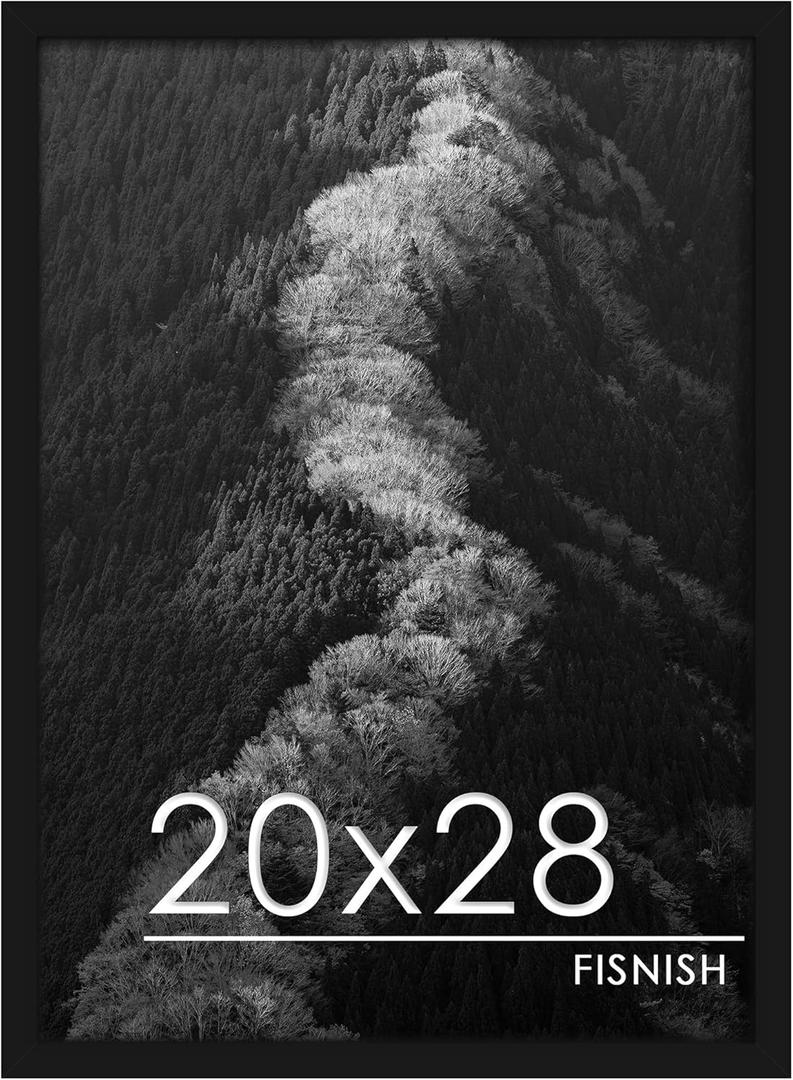 20x28 Picture Frame, Black 20 x 28 Poster Frame for Horizontal or Vertical Wall Mounting, 1 Pack
