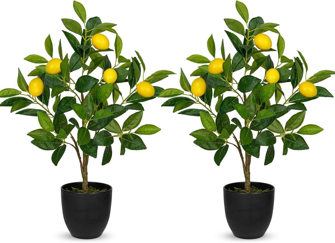 2Ft Artificial Lemon Trees, 2 Packs Large Artificial Plants Indoor with Black Pots Faux Potted Citrus Trees Fake Floor Plants Lemon Decorations for Home Living Room Office, Bedroom Table, Desk