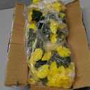 Sggvecsy Artificial Fake Hanging Flowers Plants for Outdoor Outside Spring Summer Decoration 2PCS Faux Silk UV Resistant Realistic Morning Glory Trailing Vines for Home Porch Patio Balcony(Yellow)