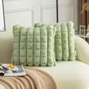 Neelvin Green Faux Fur Cozy Soft Plaid Decorative Throw Pillow Covers 18x18 inch Set of 2,Velvet Pillowcase Cushion Case for Sofa Couch