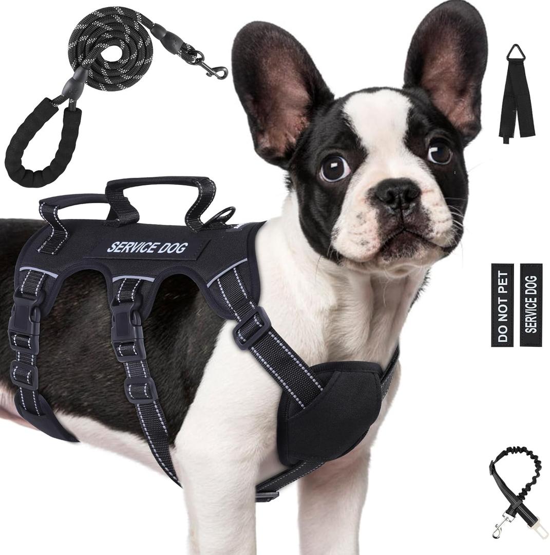 Escape Proof Dog Harness for Large Medium Sized Dogs Six Point Adjustable, Service Dog Vest Harness and Leash Set, No Pull Dogs Harnesses with Handle, Dog Harnesses for Walking(Black, M)