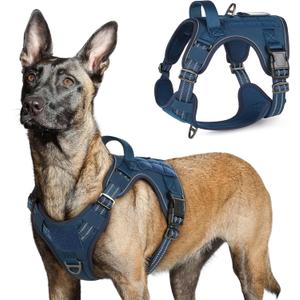 rabbitgoo Tactical Dog Harness for Large Dogs, No Pull Military Service Vest with Handle & Molle, Easy Control for Training Walking, Adjustable Reflective Straps, Blue, L