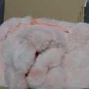 Bedsure GentleSoft Fluffy Fuzzy Cute Pink Blanket Teen Girls Gifts, Soft Cozy Faux Fur Throw Blanket, Valentines Tie-Dye Pink Room Decor for Girlfriend Women, Thick Warm Plush Room Decor Gifts for Her