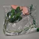 2Pcs Fake Austin Rose Peonies Flowers Real Touch Peach Roses with Stems 25.60'' Latex Peony Artificial Flowers for Home Decor Flower Arrangement Wedding Centerpieces Valentine's Day (Peach)