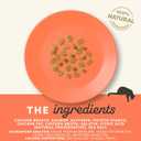 Applaws Natural Chewy Cat Treats, Grain-Free, High Protein, Limited Ingredients, No Artificial Additives or Fillers, Healthy & Nutritious Snack for Cats, Chicken & Salmon (12 x 2.0oz Bags) (EXP 12/16/25)