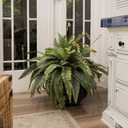 CQURE 50" Large Fake Fern Artificial Ferns for Outdoors,96 Branches Set of 2 Realistic Artificial Boston Ferns Bush Plant for Indoor Outdoor Garden Porch Decor