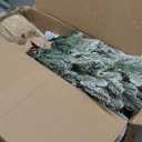 Prelit Flocked Christmas Tree, Artificial Small Christmas Tree with Led Lights, Frosted LED Xmas Tree with Snow (3FT-Lights)