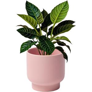 LB Pink Ceramic Plant Pots for Indoor Plants, Succulent Planters Ceramic Plant Pot, Cute Flower Pots for Living Room Office Home Decor, Round Flower Pot of 4.3 Inch(Plant Not Included)