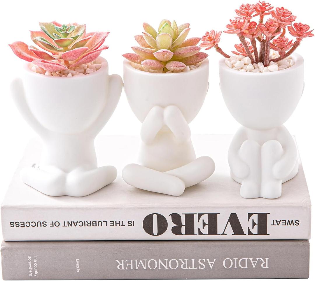 HEYO-YEPY 3PCS Cute Artificial Plant Office Decor for Women and Men, Aesthetic Desk Plant Decor for Office and Home, Potted Small Fake Plants for Indoor Decoration, White Pots Pink Plants