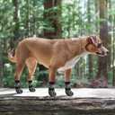 KOOLTAIL Dog Socks Shoes for Hot Pavement, Breathable & Warm Winter Dog Booties to Prevent Licking Paws for Small Medium Large Senior Dogs,Non Slip Grippy Pet Boots & Paw Protectors for Hardwood Floor