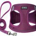 Dog Harness with Leash Set, No Pull Adjustable Reflective Step-in Puppy Pet Vest Harnesses for Small Medium Large Dogs and Cats,Cranberry M (M(Chest:16"-18"))