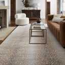 Hauteloom Leo Modern Animal Print Area Rug for Living Room, Bedroom - Bohemain Leopard Print Carpet - Contemporary Antelope Print Rug - Gray, Brown, Beige - 6'7" x 9' (6x9) (Gray, Ivory, Light Slate / Pointblank)