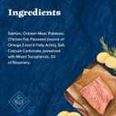 Blue Buffalo Wilderness Trail Treats High Protein Grain Free Dog Biscuits Crunchy Dog Treats, Salmon Recipe, 10-oz Bag