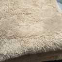 8x10 Area Rugs for Living Room, Fluffy Shaggy Rug Soft Carpets, Big Rugs for Bedroom Nursery Kids Room Dorm Home Decor Aesthetic, Light Tan