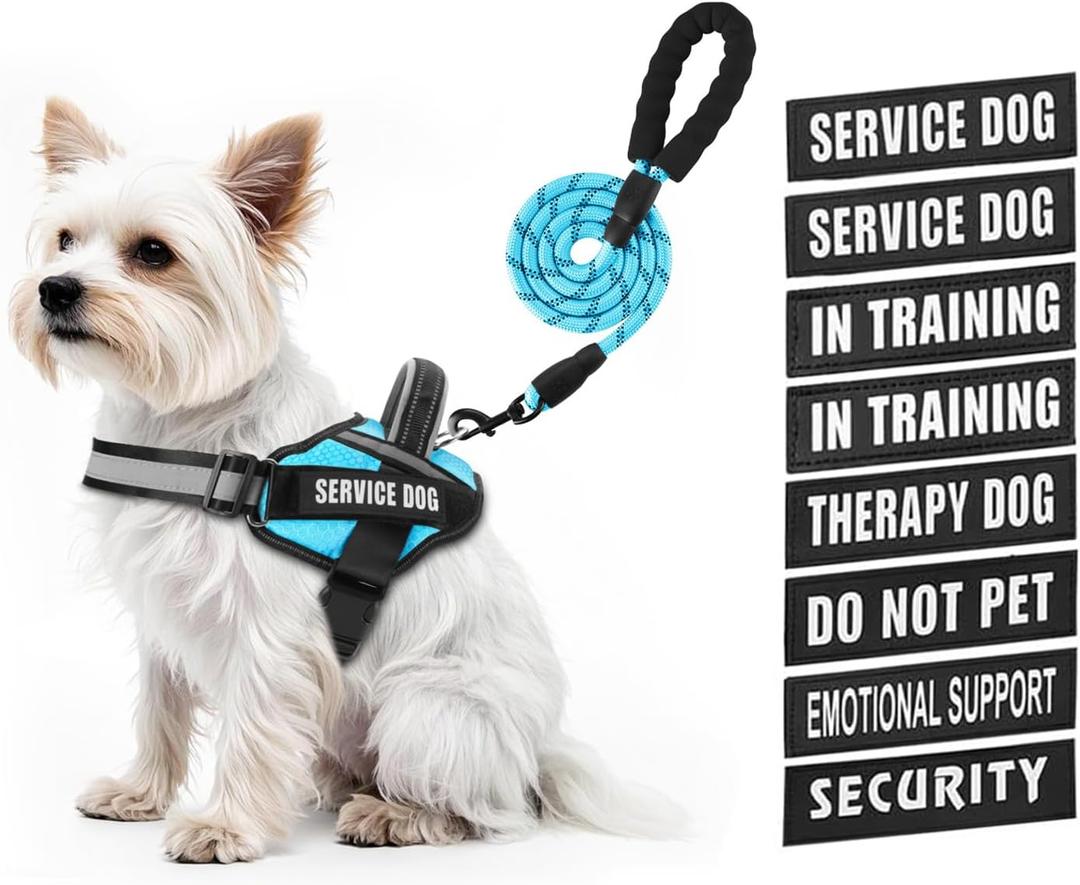Service Dog Vest Harness and Leash Set, Animire in Training Dog Harness with 10 Dog Patches, Reflective Dog Leash with Soft Padded Handle for  Dogs, XXS