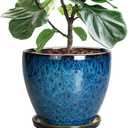EPFamily 10 Inch Ceramic Planter Pot Round Plant Pot for Indoor Plants Outdoor Large Flower Pot with Drainage Hole and Saucer Blue