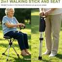 Foldable Chair Walking Stick, One Size