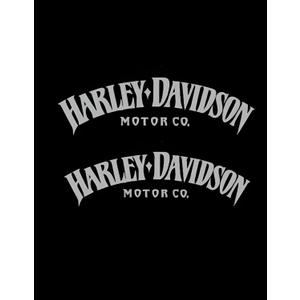 Motorcycle Classic Logo Harley Design Vinyl Decal #2 (Right and Left) Piece Moto HD Club 2.5"x8" (Chrome) (Silver)