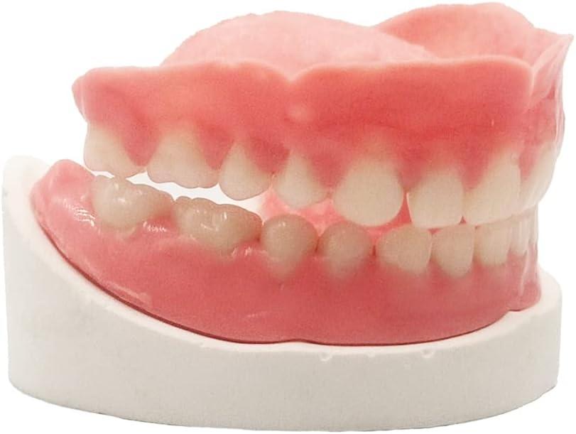 Denture Do it Yourself Full Set of Top and Bottom Fake Teeth for Improve Your Smile (Gypsum Model, Gum Material and Fake Teeth)