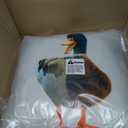 Stupell Industries | Pair of Squawking Ducks, 18 x 18 Each, 2 Pillows, Each 18 x 7 x 18