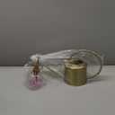 Remiawy Watering Can Indoor Outdoor Stainless Steel Watering Cans for House Plants Long Spout Water Can for Succulent Bonsai Garden Flower(40oz/1300ml)