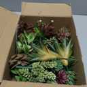 Succulents Plants Artificial 28 Pcs Realistic Premium Fake Succulents Faux for Indoor Outdoor UV Resistant DIY Home Office Decor