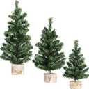 Winlyn 3 Pack Mini Canadian Pine Trees with Wood Bases Artificial Miniature Christmas Trees for Holiday Season Tabletop Decoration Centerpiece Displays Xmas Green Assorted Sizes 7.5" 8.9" 10.8"