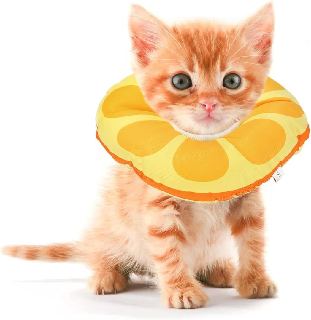 Kitten Cones After Surgery 0-6 Months, Donut Extra Small Kitten Cone Collar Soft to Stop Licking Neck, Elizabethan Kittens e Collar for Recovery, xs Small Cat Cone Spray, Pet Soft Cone for Cats