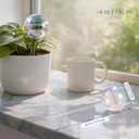 Soilagua Extra-Thick Clear Glass Plant Watering Globes, Rainbow Gradient Self Watering Globes, Automatic Plant Waterer, Self Watering Planter Insert Spikes Devices for Everyday or Vacation Use, 2-Pack