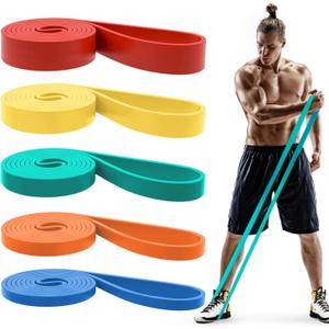 Pull Up Bands, Resistance Bands, Pull Up Assistance Bands Set for Men & Women, Exercise Workout Bands for Working Out, Body Stretching, Physical Therapy, Muscle Training (Multicolor)