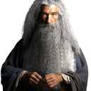 HOMELEX Grey Wizard Beard And Wig - Halloween Funny Father Time Costume Accessory for Adults
