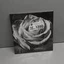 Bathroom Rose Flower Picture Wall Art Black and White Floral Prints on Canvas for Bedroom Girls Room Decor 24x24