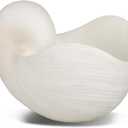 Braxio Modern Home Decor Sea Shell - Beach Themed Statue Resin Conch Shape Dish for Keys, Rings, or Succulent Planter - Coastal Decorative Bowls for Bathroom, Living Room, 12.25 x 6.25 x 8.25 Inch