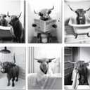 MINI ZOZI Black And White Highland Cow Bathroom Decor 8x10 6PCS Funny Pictures Wall Art Canvas Prints Set Rustic Farmhouse Modern Style Bath Restroom Animal Print Canvas Country Vintage Western Home