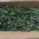 30inch Artificial Boxwood Plant with Ground Spike, Topiary with Stake for Outdoor (Set of 2)