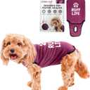 BellyGuard Recovery Suit for Dogs, Comfy Dog Surgery Suit, Female Spay and Male Neuter Onesie for Post-Op Care (Medium, Maroon)