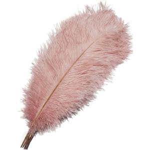Happy Feather 16-18 inch Pink Ostrich Feathers Cratfs for Wedding Party Centerpieces Home Decoration DIY Craft Pack of 10