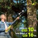 Electric Pole Saws for Tree Trimming, 8 Inch & 6 Inch Mini Chainsaw Cordless with Extension Pole, 16Ft Reach, 2x4.0Ah Battery, Auto Oiling, Tool-Free Chain Tensioning, Tree Trimmer for Branch Limb Cut