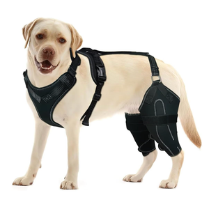 Dog Knee Brace for Torn ACL Hind Leg with 4 Metal Stabilizers Helps with Torn CCL, Luxating Patella, XL