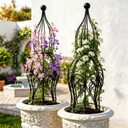 2-Pack Garden Obelisk Trellis, 26.4" Tall Metal Plant Support for Climbing Roses, Clematis & Climbing Vines, Tool-Free Snap Assembly, Decorative Accent for Patio Planters & Balcony Gardens