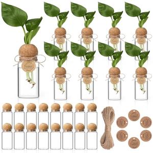 RimCereal 24 Pack 3.54'' Plant Propagation Stations 4 oz Glass Propagation Jars Planter Hydroponic Vase with Mushroom Hole Lid and Thank You Tags for Plant Lovers Office Home Garden
