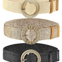 WILLBOND 3 Pcs Straw Belts Woven Elastic Waist Belt for Women Bohemian Dress Braided Belt