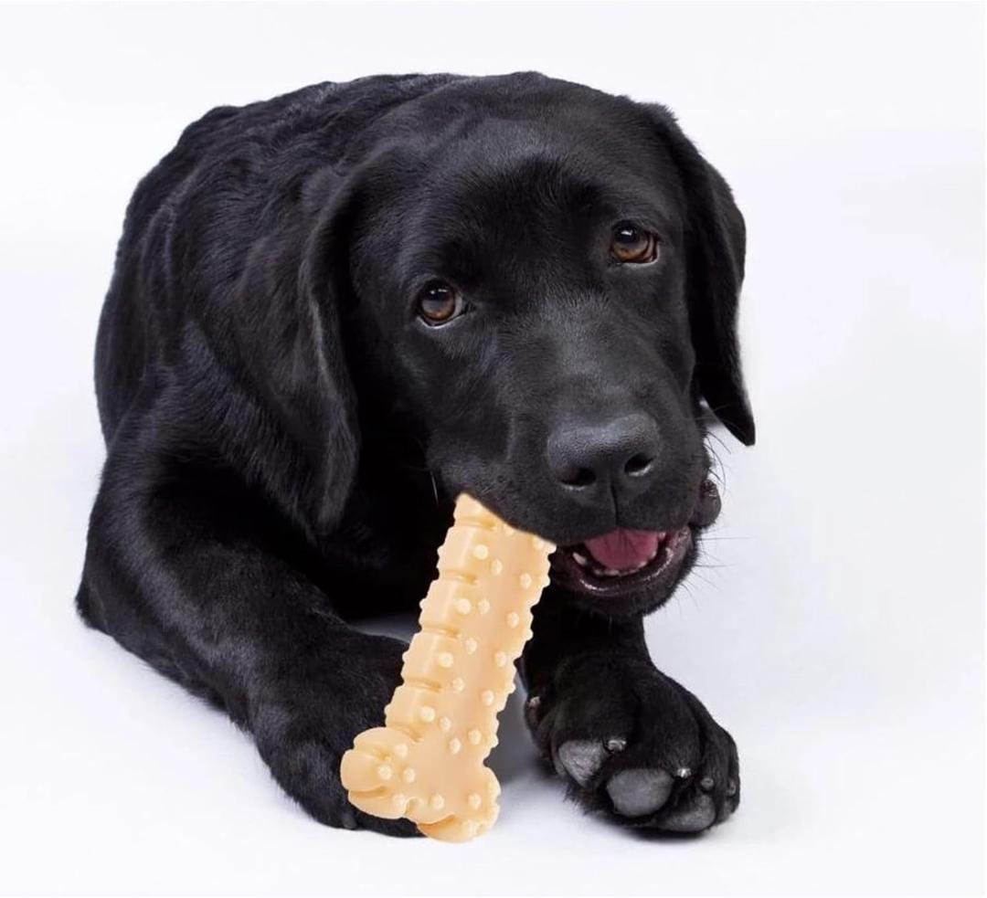 Indestructible Dog Chew Toy for Aggressive Chewers  Tough Nylon Dog Bone for Large Dogs, Medium & Small Breeds  Peanut Butter Flavored, Durable Teething Toy for Puppies  Safe & Long-Lasting