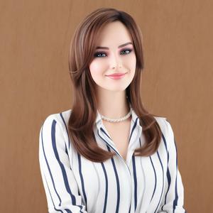 RENERSHOW Long Mixed Brown Highlight Synthetic Wigs for Women Layered Ombre Brown Wig with Dark Roots Straight Hair Wig