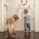 Babelio Removable & No Bottom Bar Baby Gate, 29-43" Hardware Mounted (Drill Needed)| Wide Walk-Thru| Auto-Close Safety Dog/Pet Gate for Stairs & Doorways (White, 29-43" W, 30" H)